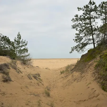 Seaside Bliss With Front Sea View * Lignano Sabbiadoro